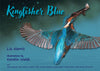 Liz Norris: Kingfisher Blue, illustrated by Kerstin Walsh