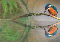 Liz Norris: Kingfisher Blue, illustrated by Kerstin Walsh