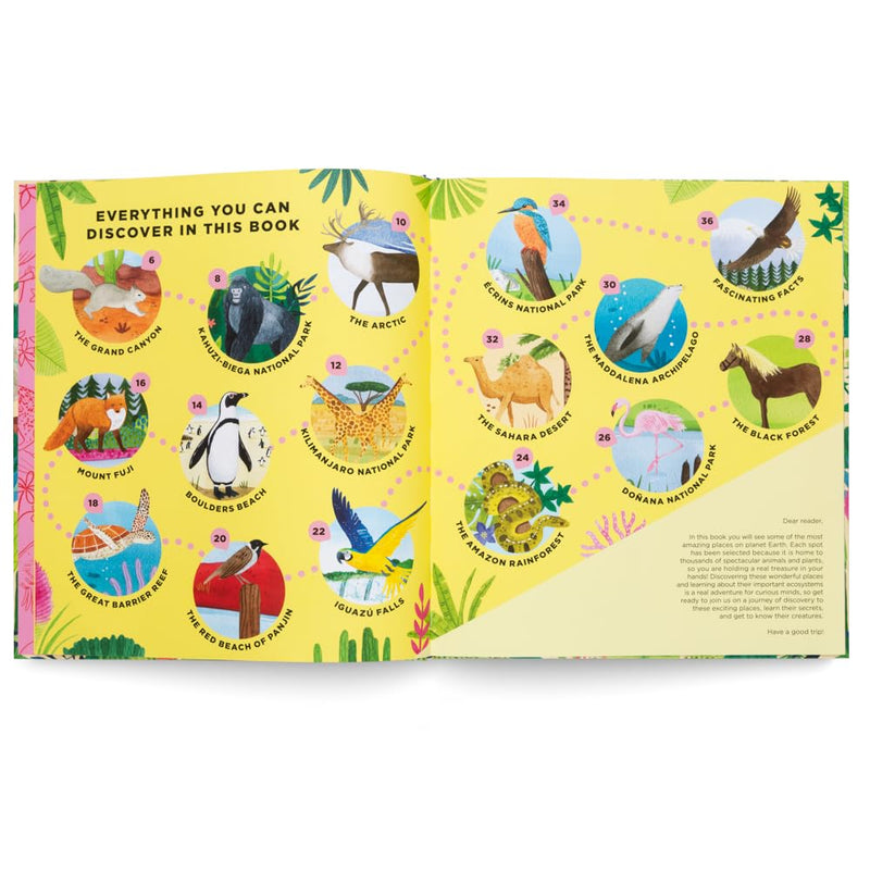 Mia Cassany: Animals Everywhere - Animal Habitats Around the World, illustrated by Nathalie Ouederni