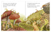 Oein DeBhairduin: The Slug and the Snail, illustrated by Olya Anima