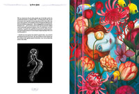 Hans Christian Andersen: The Little Mermaid, illustrated by Benjamin Lacombe