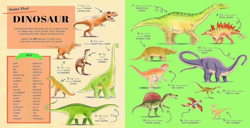 Dr. Gareth Moore: Name That Thing! illustrated by Ryan O'Rourke