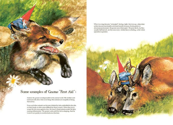 Wil Huygen: Gnomes, illustrated by Rien Poortvliet