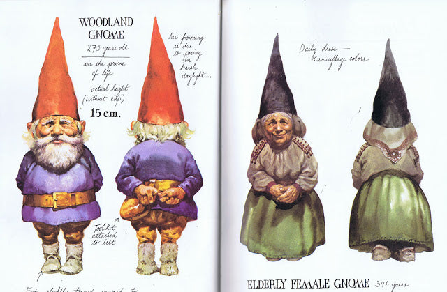 Wil Huygen: Gnomes, illustrated by Rien Poortvliet