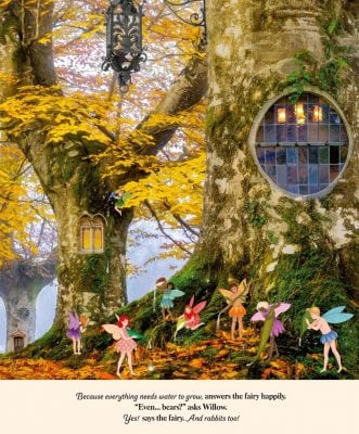 Through the Fairy Door by Gabby Dawnay, illustrated by Lars van de Goor and Giulia Tomai