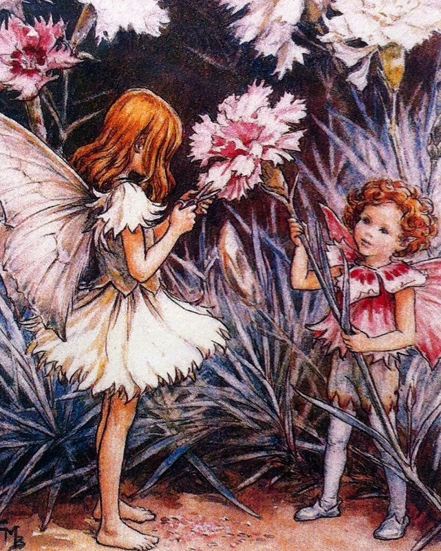 Flower Fairies print The Pink Fairies