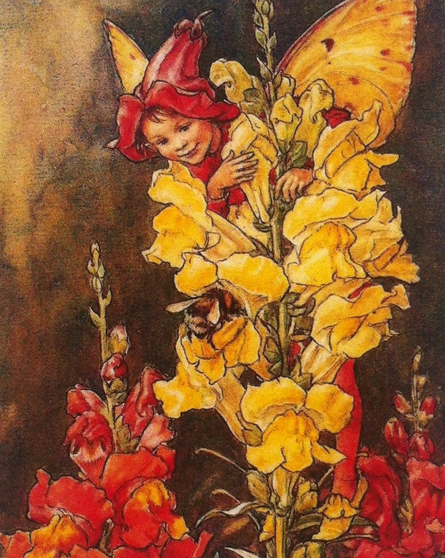 Flower Fairies print The Snapdragon Fairy