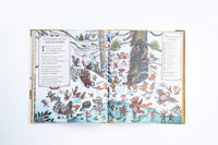 If You Go Down to the Woods Today by Rachel Piercey, illustrated by Freya Hartas