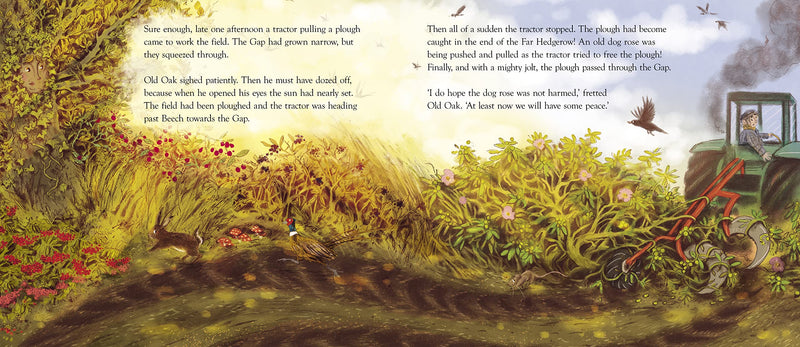 Elena Mannion: The Happy Hedgerow, illustrated by Erin Brown